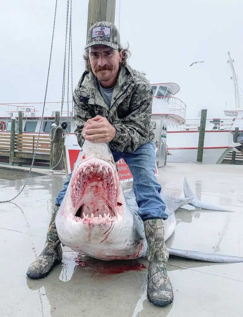 Capt. Jake Alkire holds up a 447-pound, roughly 10-foot mako shark at Fisherman’s Wharf on Monday, Jan. 31. Glen Ratchford caught the shark from aboard the Scat Cat. Courtesy photo