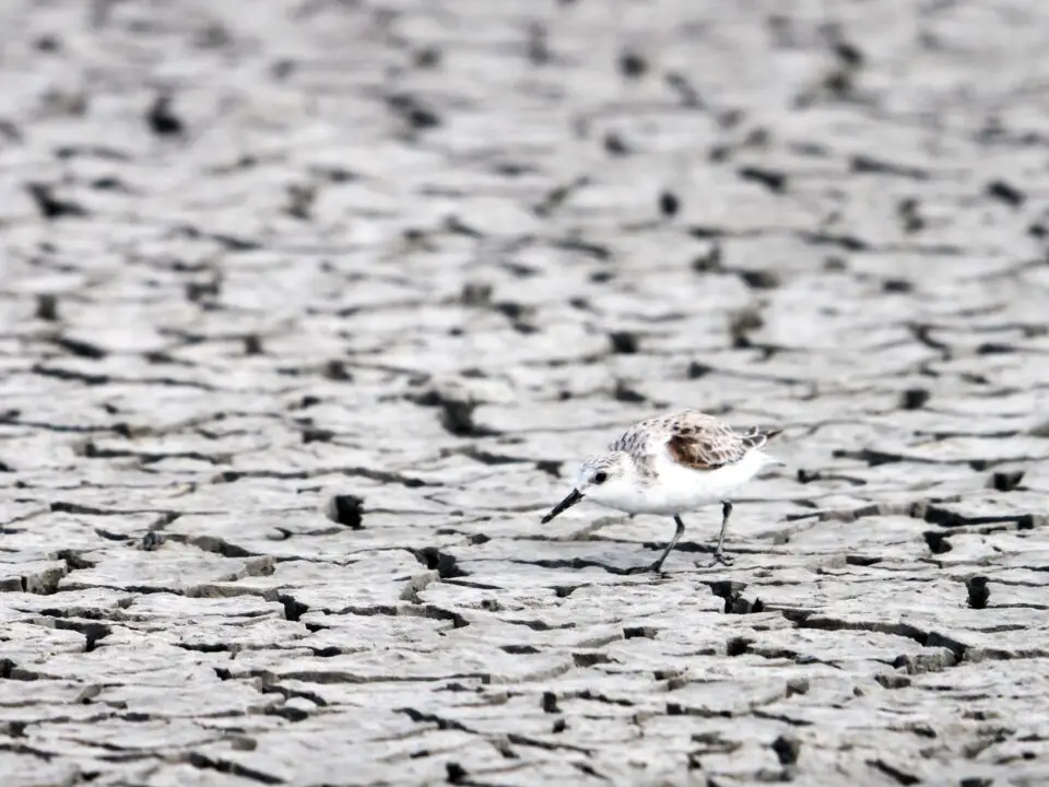 Drought could force water-use restrictions