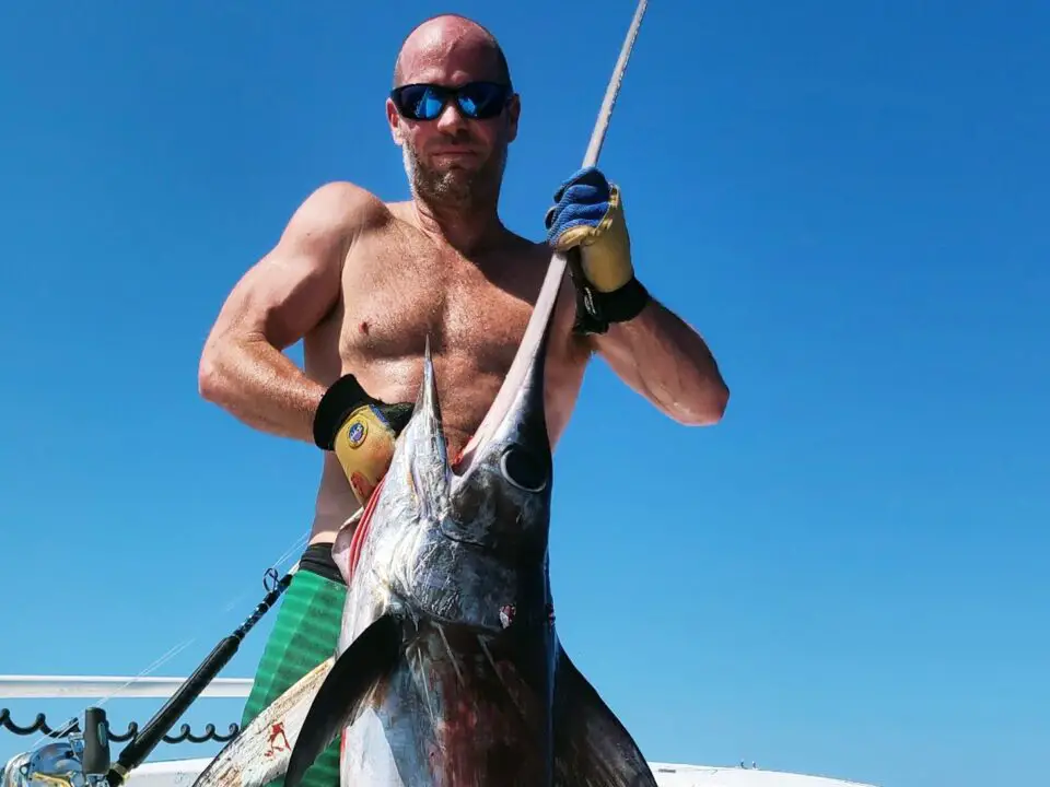 Deep Sea Roundup this week