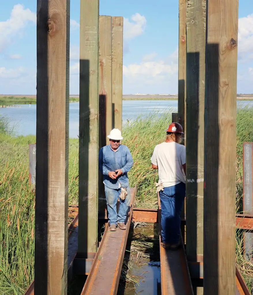 Photographed on Wednesday, Aug. 10, workers install the pilings that will hold a new boardwalk under construction at the Leonabelle Turnbull Birding Center in Port Aransas. The boardwalk will replace one that was destroyed by Hurricane Harvey in 2017. A new boardwalk was built after the hurricane, but it is off to the left of where the original one was. The new one will follow the same footprint as the original. FEMA is paying for it. Staff photo by Lee Harrison