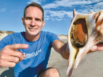State shell washing up