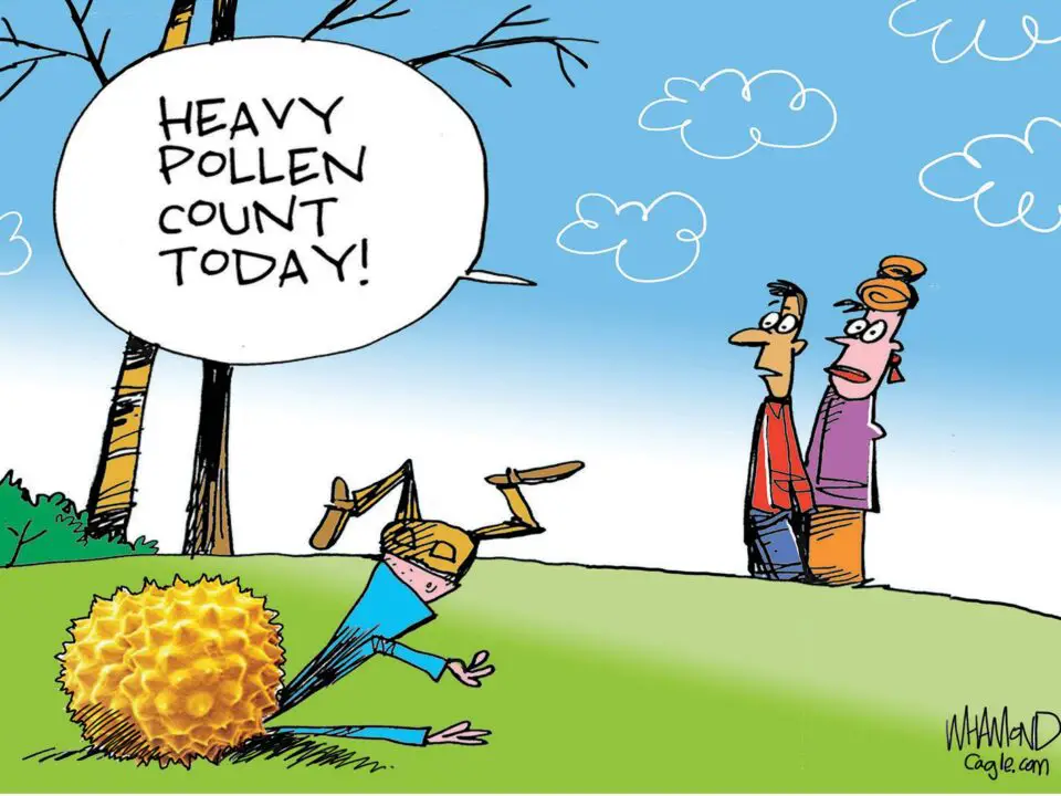 Political Cartoon