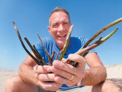 Mangrove seeds found on shore