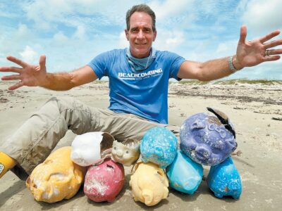 The mysterious case of the sea pigs