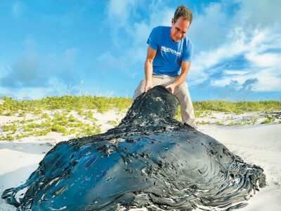 Tar blobs wash up on beaches
