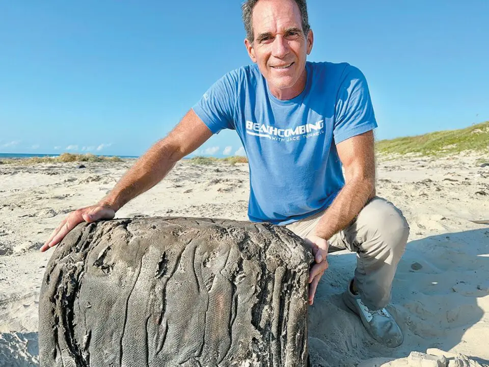 War relic washes ashore