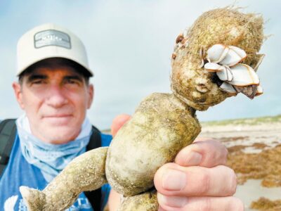 Return of the creepy dolls