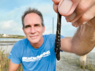 In the business of burrowing