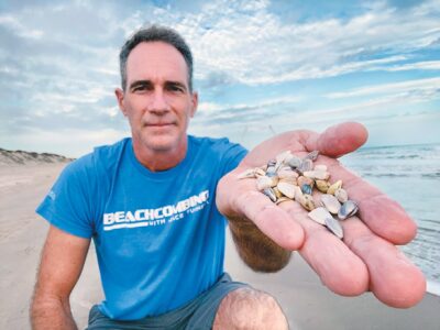 Coquina clams wash ashore